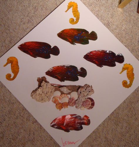 Florida Reef 6
