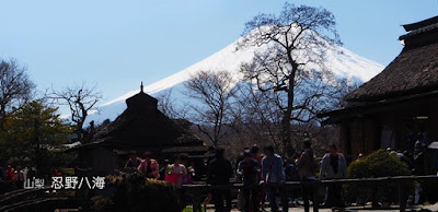 [山梨] 富士山と清流が美しい！忍野八海