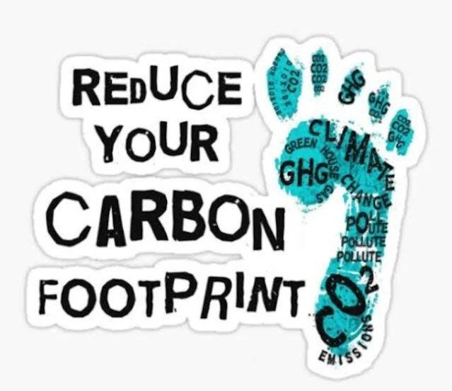 Reduce Your Carbon Emissions