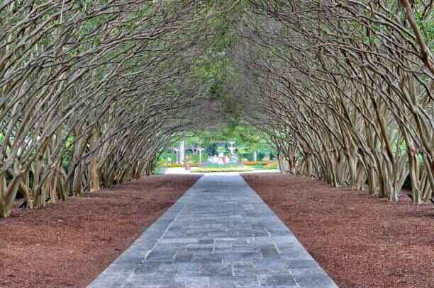 The Dallas Arboretum and Botanical Garden