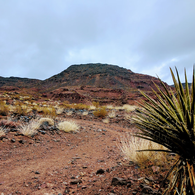 McCullough Hills Trail