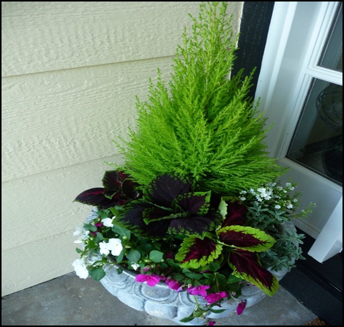 front porch for fall 002 (600x800)