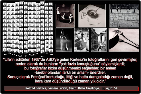 Roland Barthes - Camera Lucida