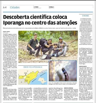 Pesquisadores encontram Larva com bioluminescência em Iporanga no Vale do Ribeira