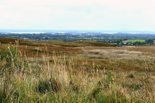 Connemara landscape