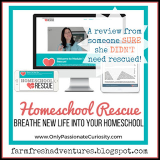 Homeschool Rescue: A self-paced eCourse for EVERY Homeschooling Parent {Product Review}