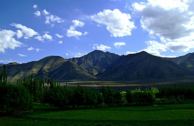 green mountains of Ladakh