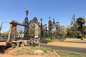 IMG_1426