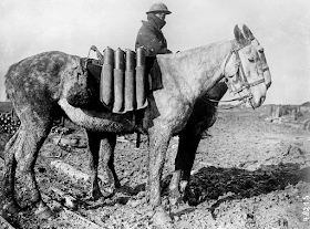 Los animales en la Primera Guerra Mundial