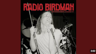 Radio Birdman - More Fun