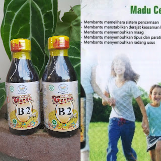 madu cerna b2 untuk maag