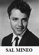 SAL MINEO