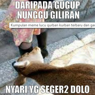 Kumpulan Meme dan Gambar Kocak Hewan Qurban yang Mengundang Tawa Terbaru  Kumpulan Meme dan Gambar Kocak Hewan Qurban yang Mengundang Tawa Terbaru 2018 