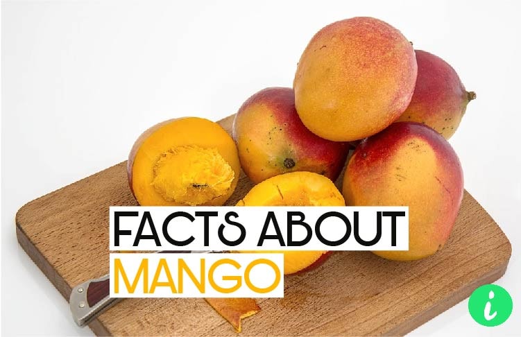 Mango Facts