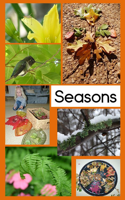 Awesome activities for celebrating fall and seasons