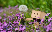 Cute Danbo