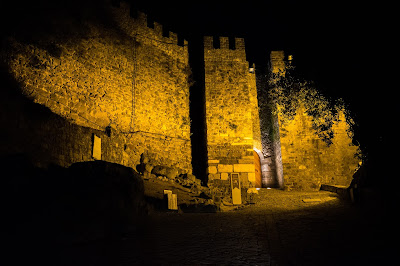 Leiria Castle by night