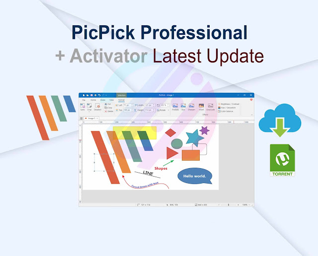 PicPick Professional 7.2.8 + Activator Latest Update