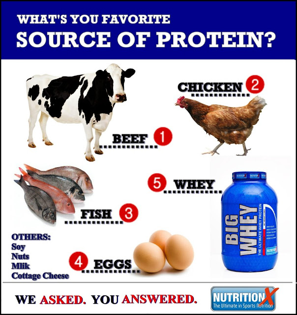 Protein Source