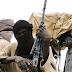 Nigeria: Bandits Kill Kaduna Chairman of Miyetti Allah Despite Collecting Ransom