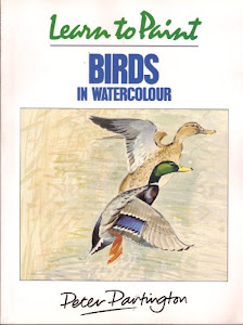 Learn to Paint Birds in Watercolour