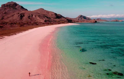 Pink Beach Pulau Komodo
