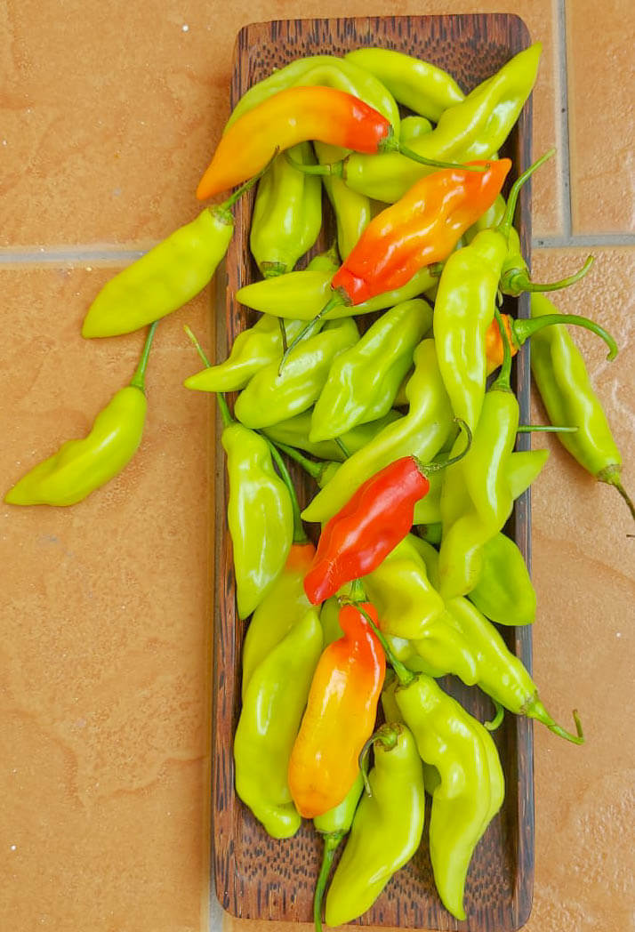 What's The Best Substitute For Bell Pepper? Vibrant Options