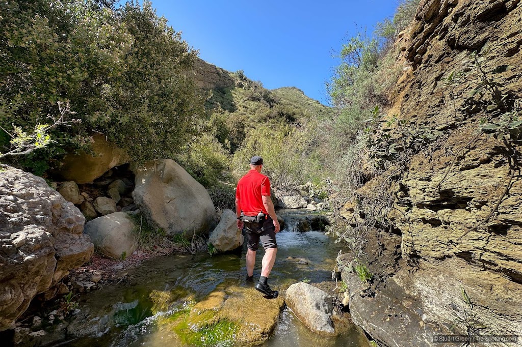 Man hiking up a creek, with his pants hiked up and his feet in the water.