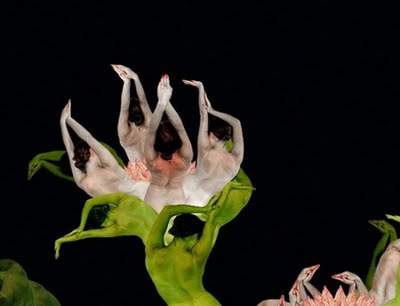 3D Human Flower HD Wallpaper Free Download