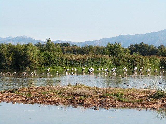 Reserva natural Bulgaria