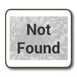 thumbnail_not-found