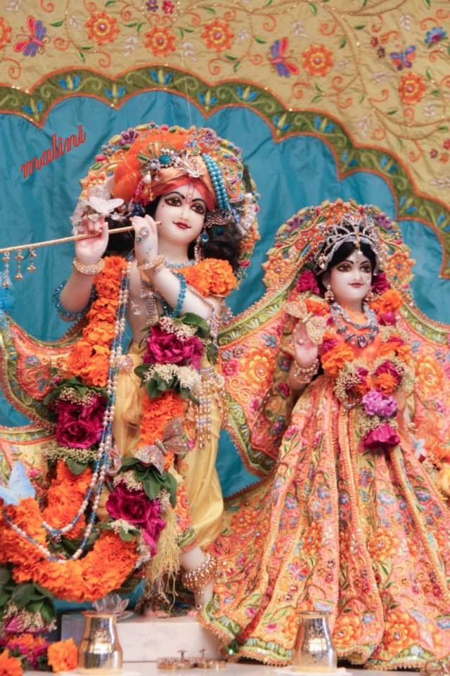 मैं तो तेरी दीवानी तेरा साथ चाहिए,एक तेरा मेरे सर
