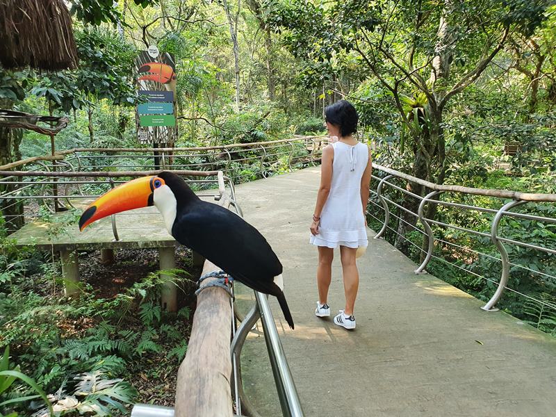Foz do Iguaçu Parque das Aves