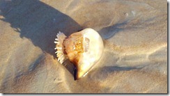 2011-02-12_08-04-11_506 2011-02-12_08-04-11_506