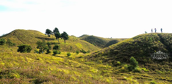 Gunung Prau dieng