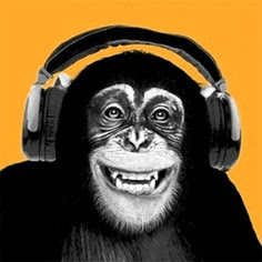 chimpanzee wearing head phones