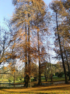 Autunno a Milano - Il Mio Vivere A Milano