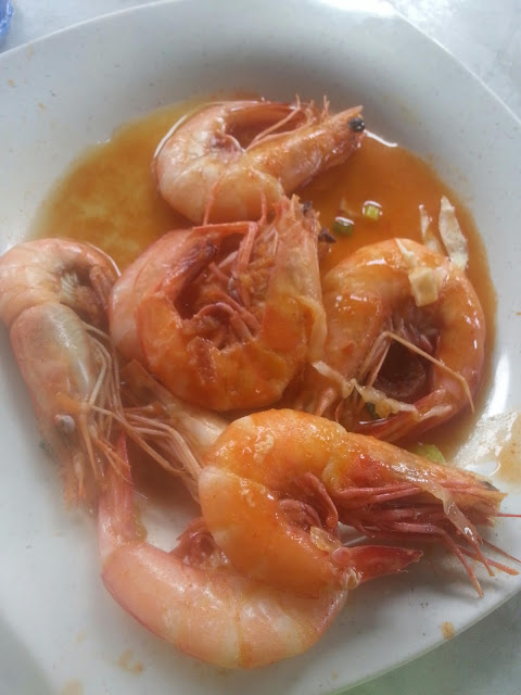 Udang