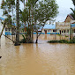 Curah Hujan Tinggi, SDN 158466 Hutabalang Langganan Banjir