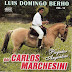 CARLOS MARCHESINI - LUIS DOMINGO BERHO - VOL 10