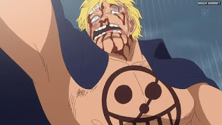 ワンピースアニメ ドレスローザ編 698話 ベラミー | ONE PIECE Episode 698