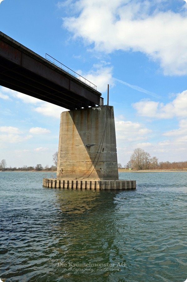 Osterhessen montags am Rhein (3)
