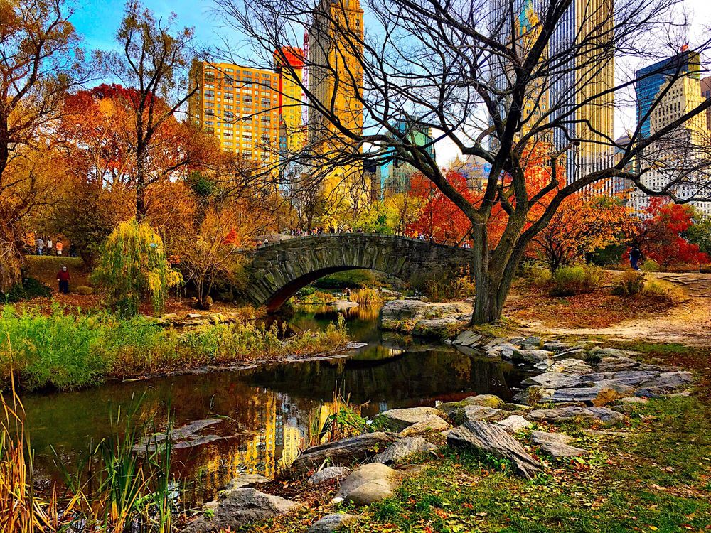 The Home Alone Bridge - Central Park Movie stop