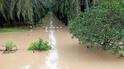 Akses Menuju  Desa Ronggoh di Kepung Banjir kecamatan Tamiang Hulu