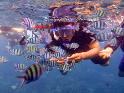 wisata air, karimunjawa, diving karimunjawa, menyelam karimunjawa, taman laut karimunjawa