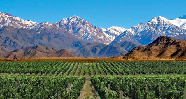 Mendoza: vinícolas argentinas