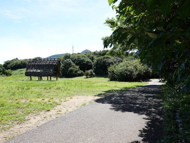 むきばんだ史跡公園の弥生のムラ