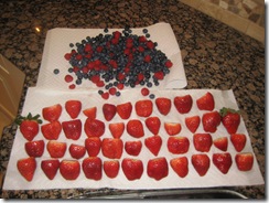 2.13.2010 Valentine's Day 001