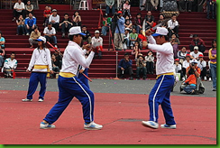 mht33D4(1)