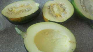 acorn squash, what to do with acorn squash, dehydrating vegetables, garden harvest, 